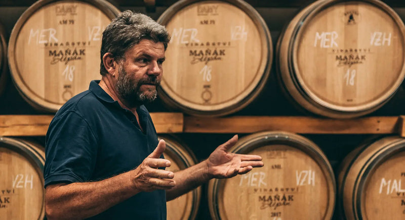 Barikové víno: Jak dřevo ovlivňuje chuť vína | Víno od Bodláků