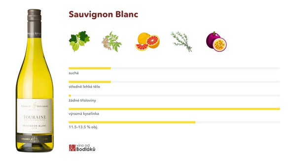Charakteristika odrůdy Sauvignon Blanc