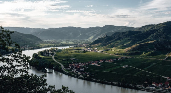 Rakouská vína: Z krize až na vrchol