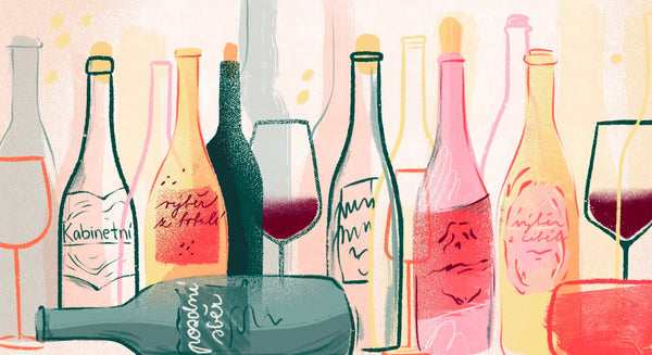 Co znamená „pozdní sběr” a další přívlastky u vína?