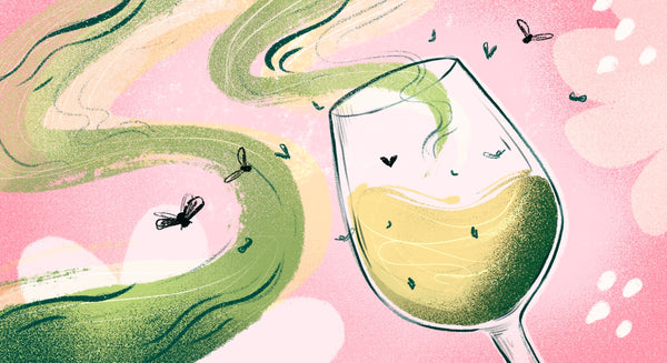 Jak poznat zkažené víno?
