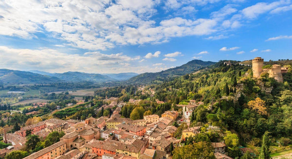 Lambrusco: Kvalita, kterou nečekáte