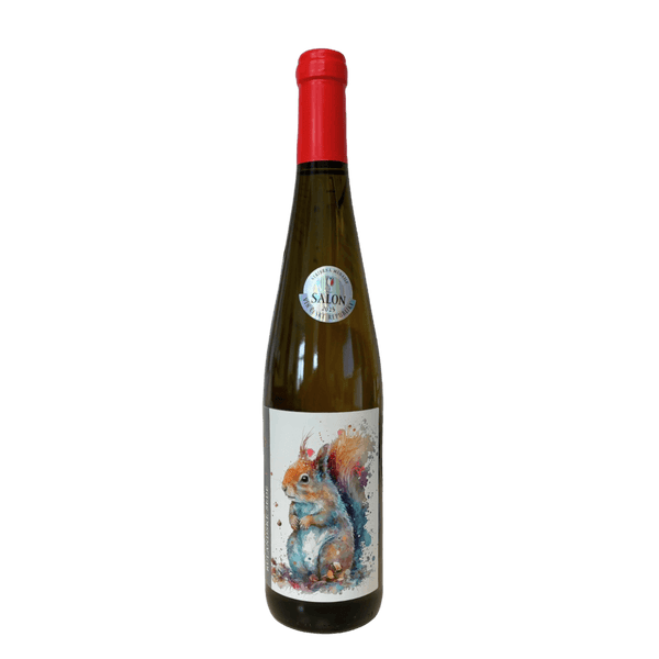 Lobkowicz Pinot Gris ORANGE, české zemské víno, suché (2022) Lobkowicz Vínoodbodláků.cz