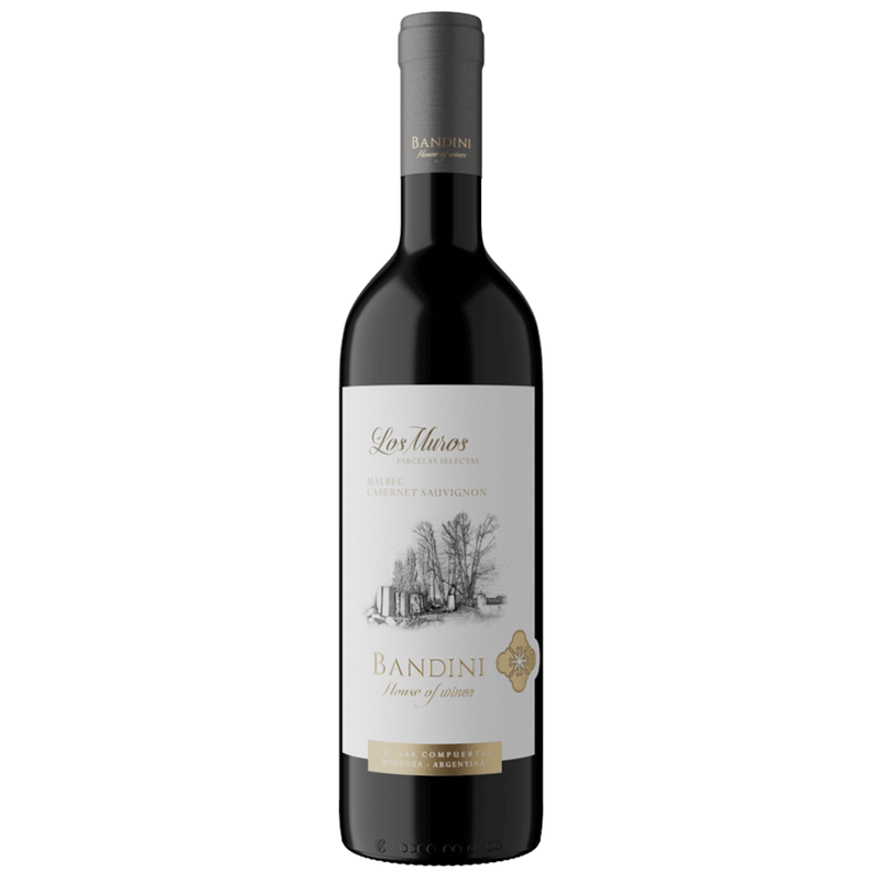 BANDINI Los Muros, Malbec, suché (2021) Bandini Vínoodbodláků.cz