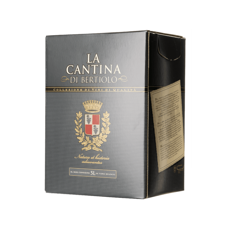 Prémiové Chardonnay Bag in Box 5 litrů La Cantina di Bertiolo Vínoodbodláků.cz
