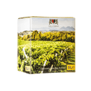 VILLA TERESA Pioppo Grigio rulandské šedé Bag in Box 5 l polosuché Vínoodbodláků.cz Vínoodbodláků.cz